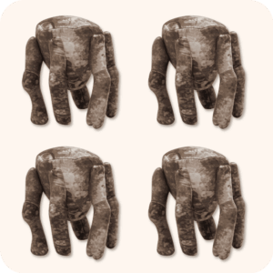 Project Hail Mary Plush 4PCS